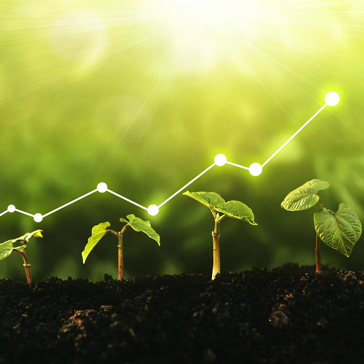 generare valore nel lungo periodo