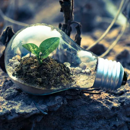 Qualita Ambiente Sicurezza Cover