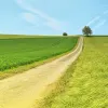 percorso verde